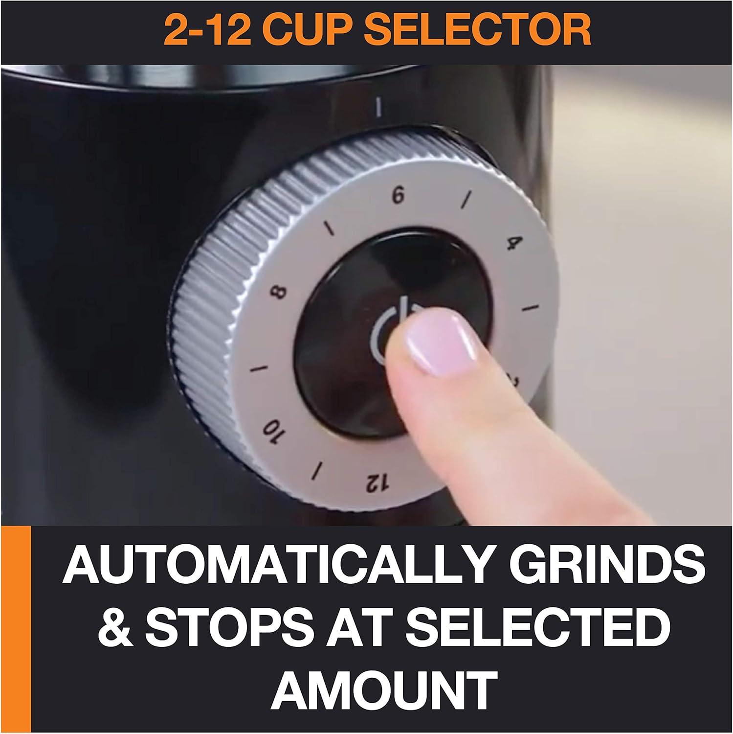 image:imageKRUPS Flat Burr Coffee Grinder Electric 18 Adjustable Grind Settings 220 Cups per Grind Single Touch Coffee Bean and Spice Grinder Stainless Steel Black12 Grind Settings